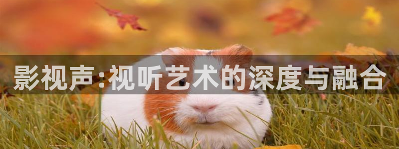 终极笔记星辰影院