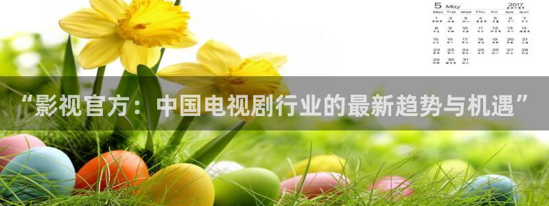 星辰影院在线观看最新电视剧大全