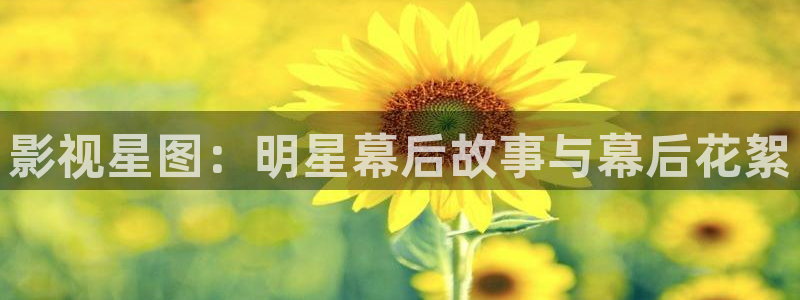 致我们暖暖的小时光星辰影院