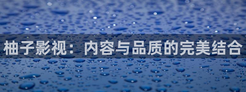 电视剧《黄雀》星辰影院在线播放