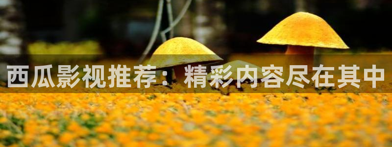 你好星期六星辰影院在线观看